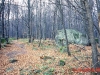 beskid_niski_2008_07.jpg